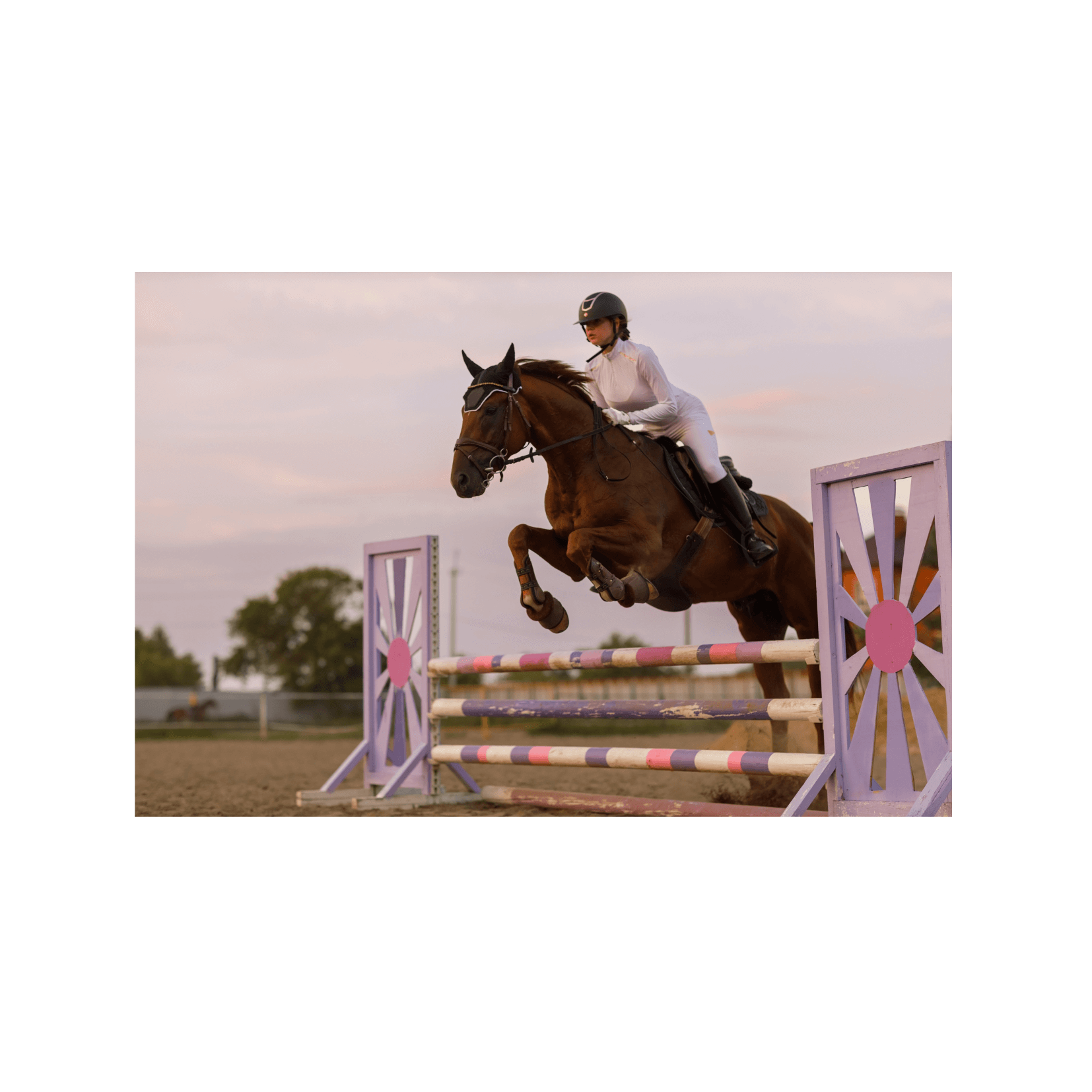 jeux olympiques cheval athlète